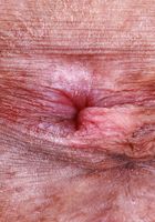 Salee Lee from ATK Petites