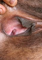 Naughty babe Sammi teases with her thick hairy pussy, Sammi (sam032) ATK Exotics: Sammi (Naughty babe Sammi teases with her thick hairy pussy)