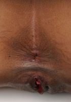 Sarah Lace Stripping, Sarah Lace (sar098) ATK Exotics: Sarah Lace (Sarah Lace Stripping)