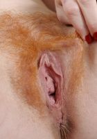 Sasha in mature and hairy, Sasha (sas028) ATK Natural & Hairy: Sasha (Sasha in mature and hairy)