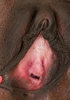 Sizi Sev in black women, Sizi Sev (siz001) ATK Exotics: Sizi Sev (Sizi Sev in black women)