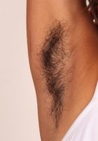 Sonya is a hairy hottie, Sonya (son024) ATK Exotics: Sonya (Sonya is a hairy hottie)