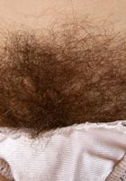 Sunshine making your day brighter, Sunshine (sun018) ATK Natural & Hairy: Sunshine (Sunshine making your day brighter)