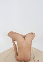 Tais from ATK Natural & Hairy