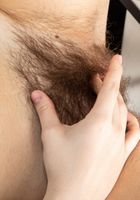 Terry in young and hairy, Terry (ter052) ATK Natural & Hairy: Terry (Terry in young and hairy)
