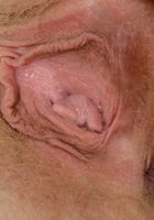 Vestacia JonQuil from ATK Natural & Hairy