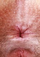 Violet Viper from ATK Natural & Hairy