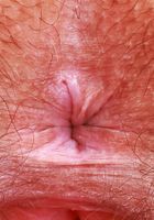 Violet Viper from ATK Natural & Hairy