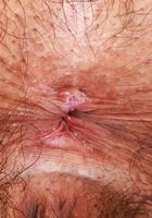 Zoey Jpeg from ATK Natural & Hairy